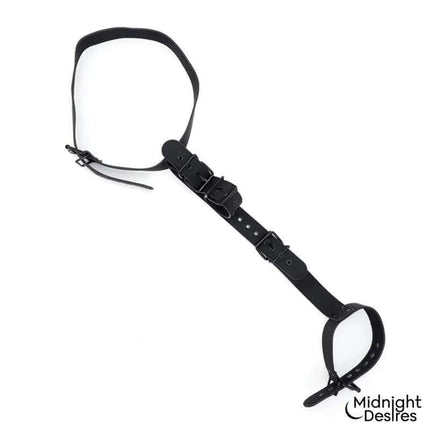 Collar and Wrist Cuffs Body Restraint Set