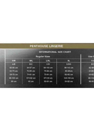 Mini Dress Bombshell Black size chart showing international lingerie measurements for bust, waist, hips and cup sizes
