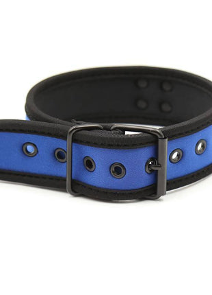 Neoprene Puppy Collar Adjustable Blue