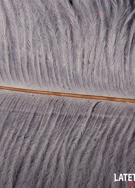 Ostrich Feather Teaser 44 cm by Latetobed BDSM Line