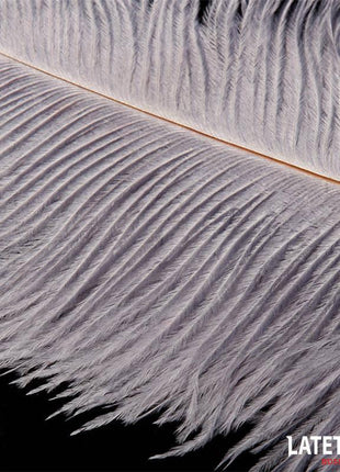 Ostrich Feather Teaser 44 cm by Latetobed BDSM Line