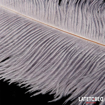 Ostrich Feather Teaser 44 cm by Latetobed BDSM Line