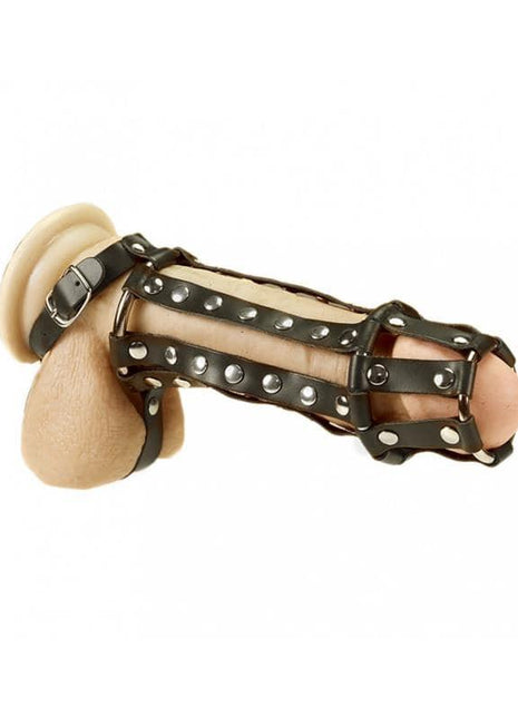 Penis and Ball Harness S M