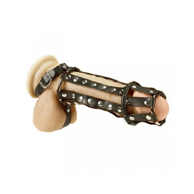 Penis and Ball Harness S M