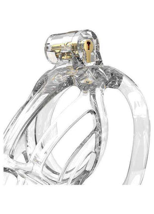 Penis Cage PC08 Transparent