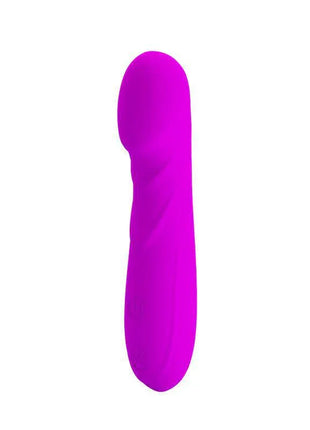 Pretty Love Mini Massager Reuben Purple