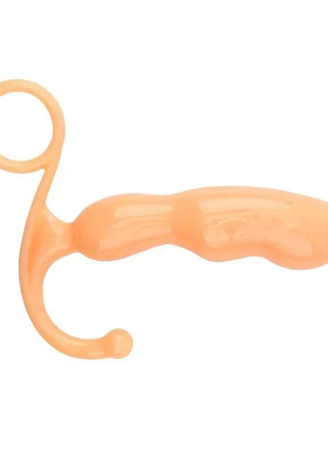 Prostate Stimulator ScrewAnalsecretsextoys.store
