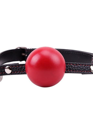 Red Ball Gag