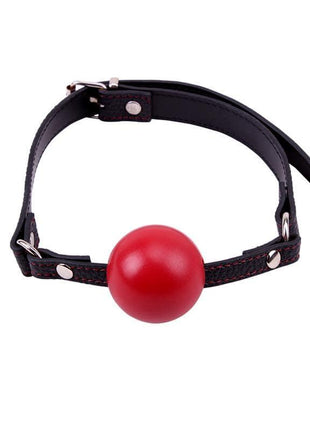 Red Ball Gag