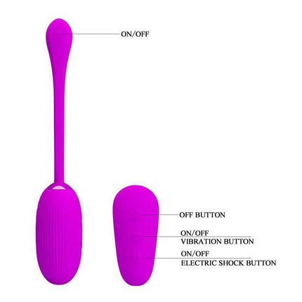 Remote Control Electro Shock Vibrating Egg