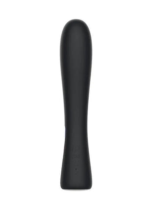 Romp Vibe with boost Function Vibrator