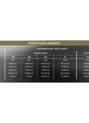 Salute Me Mesh Teddy size chart showing international lingerie measurements for regular and one-size fits