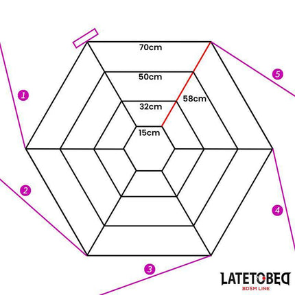 Spider Web Bed Bondage