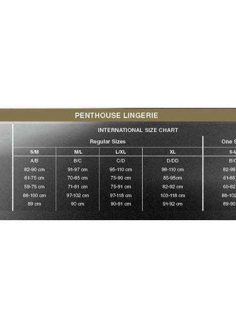 Sweet & Spicy Chemise White size chart showing lingerie cup, bust, underbust, waist, hip and inseam measurements