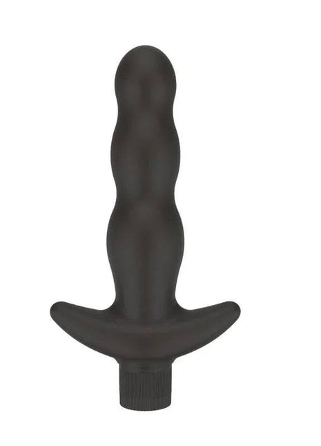 Vibrating Butt PlugAnalsecretsextoys.store