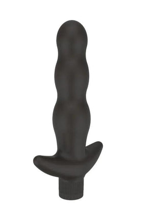 Vibrating Butt PlugAnalsecretsextoys.store