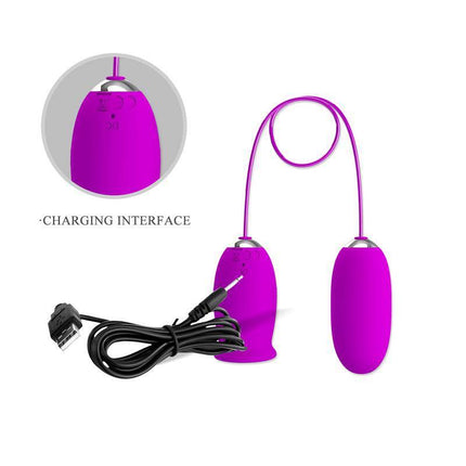 Vibrating Egg and Licking Stimulator