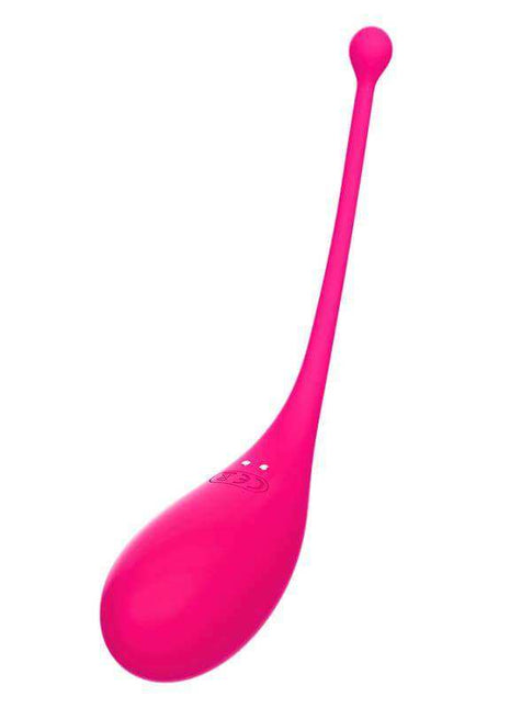 Vibrating Egg Palpitation in bright pink silicone with a smooth egg-shaped body, long tapered cord, and control buttons