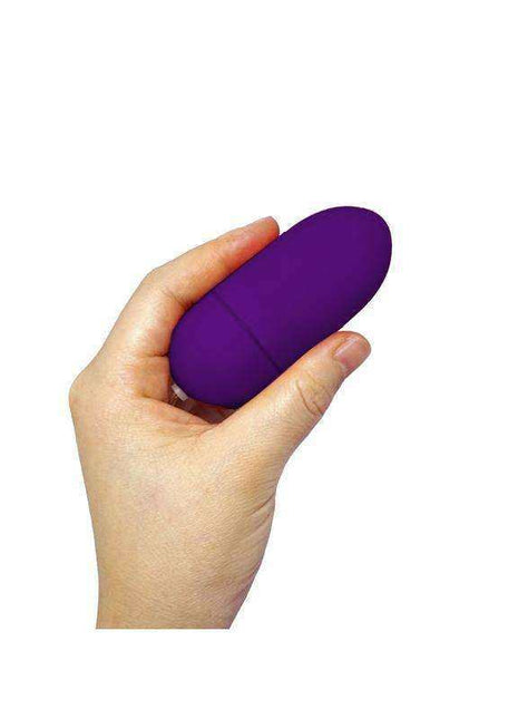 Dark purple vibrating egg with remote control for intimate pleasure
