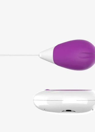 Vibrating Egg with Remote Control USB Purple
