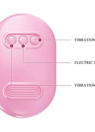 Vibrating Egg with Shock Nipple Clamps Kit