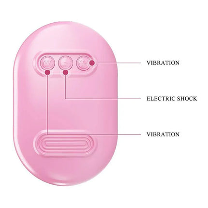 Vibrating Egg with Shock Nipple Clamps Kit