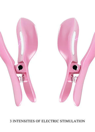 Vibrating Egg with Shock Nipple Clamps Kit