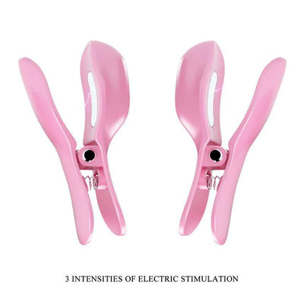 Vibrating Egg with Shock Nipple Clamps Kit