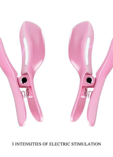 Vibrating Egg with Shock Nipple Clamps Kit