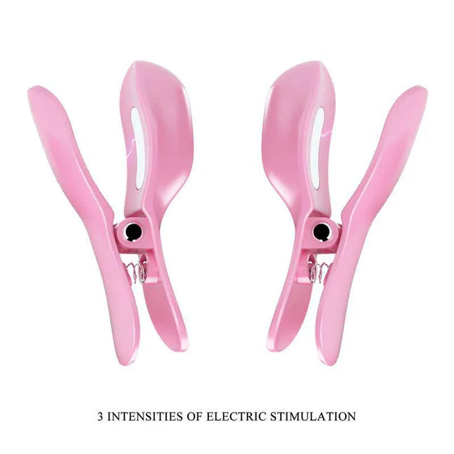 Vibrating Egg with Shock Nipple Clamps Kit